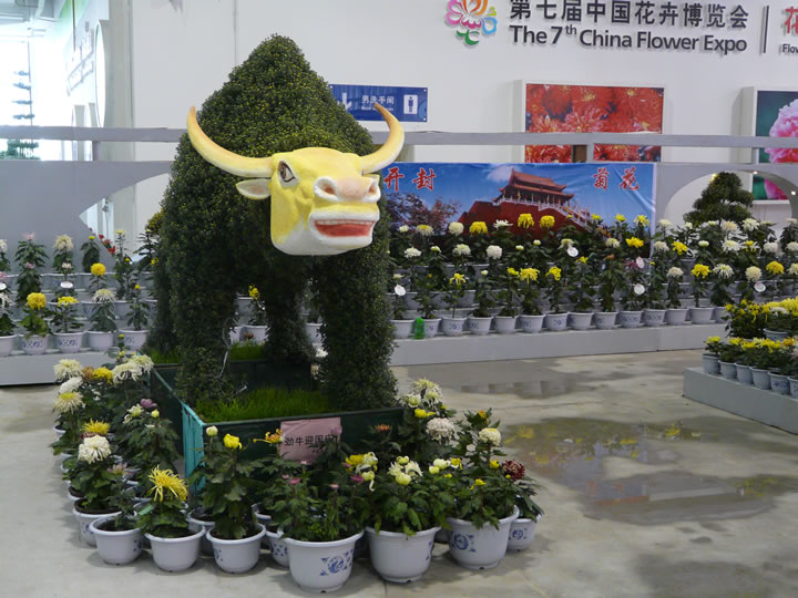 2009年参加中国第七届花卉博览会展览