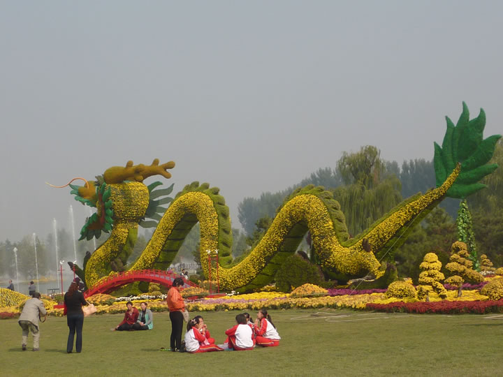 2013年北京菊展