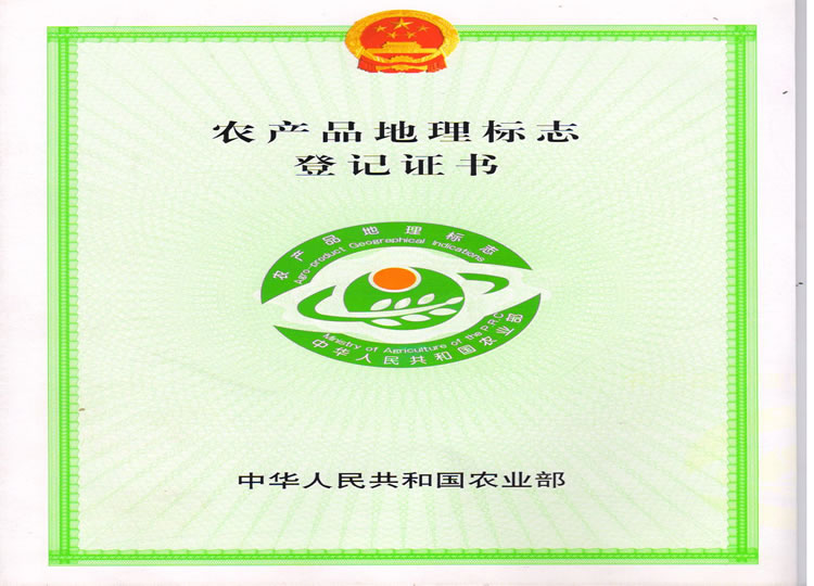 大自然菊茶-地理标志证书